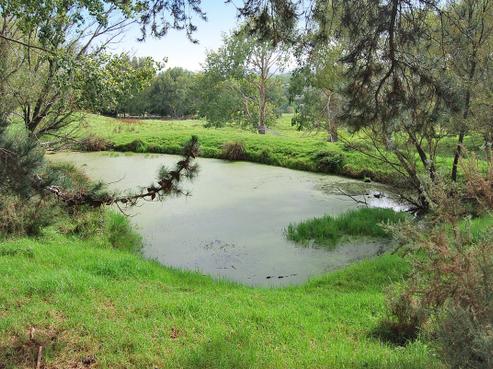 942 Oneriri Road, Kaiwaka