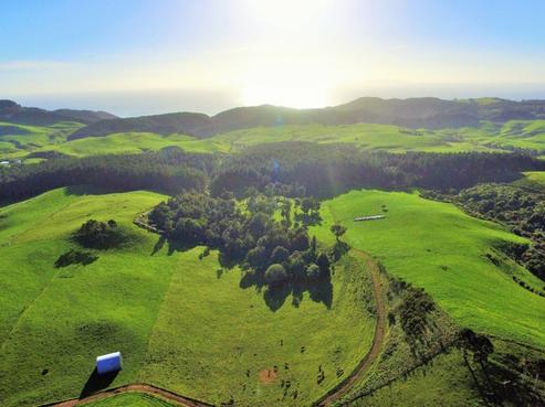 1157 Waihi Whangamata Road, Whiritoa