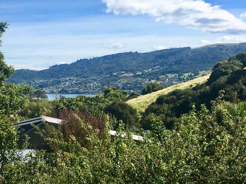 71 Greenacres Street, Macandrew Bay