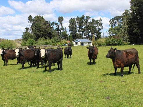 289 Kidds Road, Middlemarch