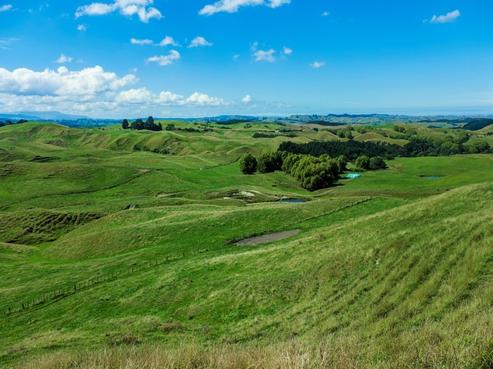 1285 Waihau Road, Hastings Country
