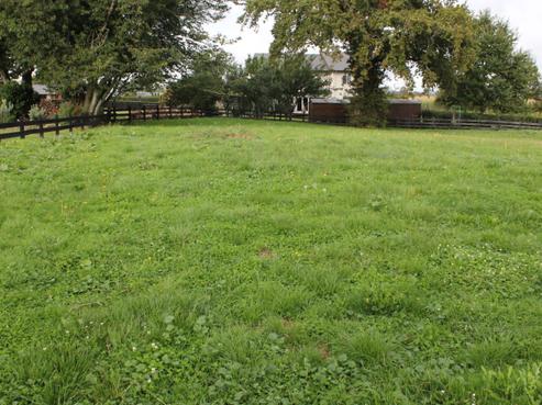 12 Eldonwood Drive, Matamata