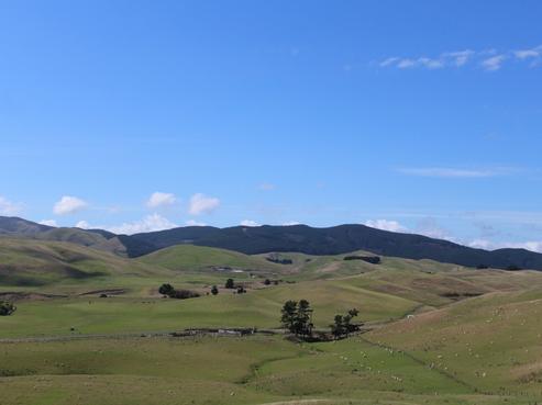 207 Mangatuna Road, Dannevirke