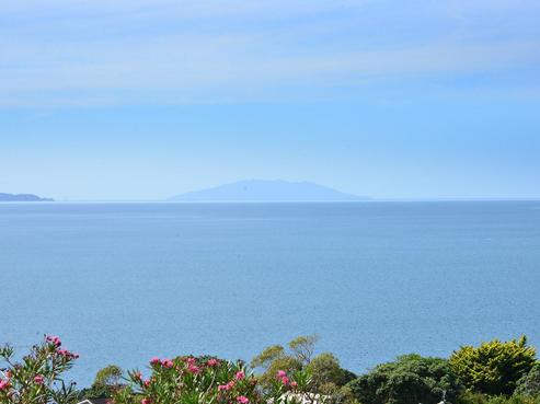1414 Whangaparaoa Road, Army Bay