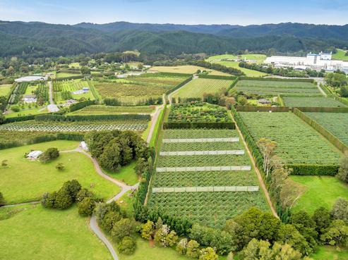 593 State Highway 1, Kauri