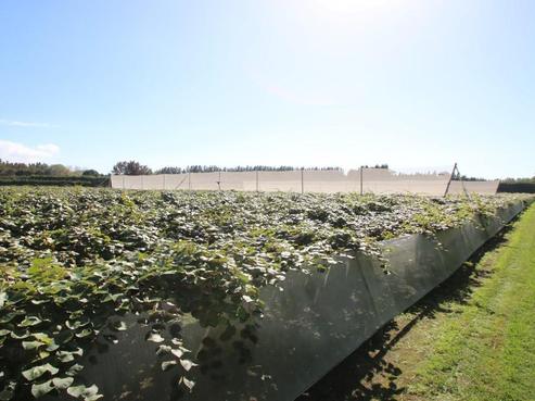 1856 State Highway 30, Te Teko