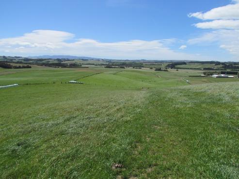 539 Waikaka Valley Highway, Gore Surrounds