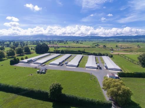 253 Rangitanuku Road, Te Poi