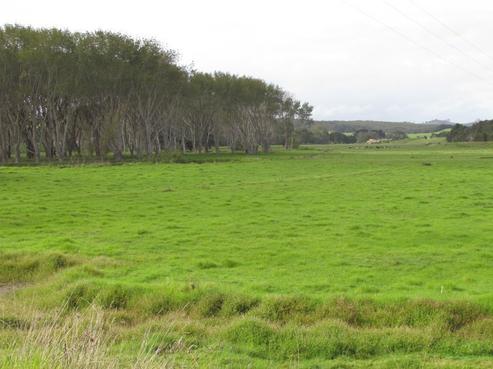1272 Waihue Road, Dargaville Surrounds