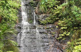 65 Rodney Road, Leigh