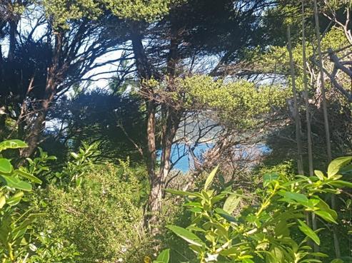 60 Blackwell Drive, Great Barrier Island
