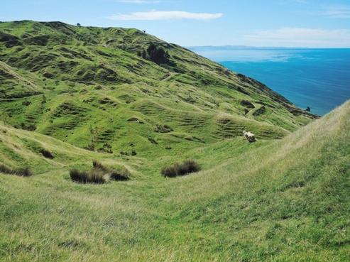 867 Mahanga Road, Mahia