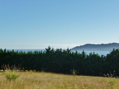 4 Vidar Way, Coopers Beach