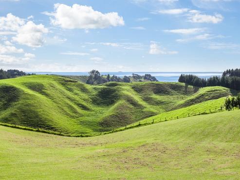 86C Mimiha Ridge Road, Matata