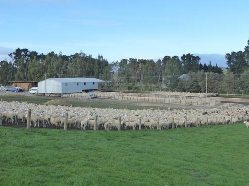 378 Harcus Road, East Otago