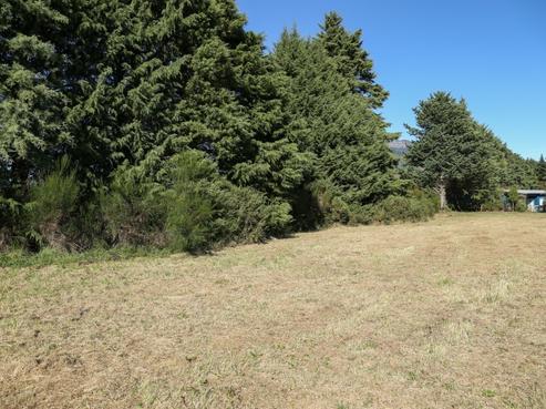 29 Ngahana Place, Turangi