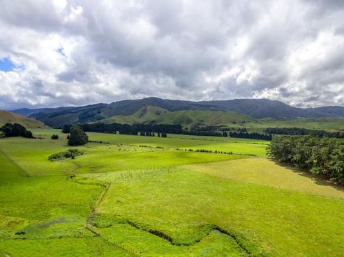 85274 State Highway 2, Eketahuna