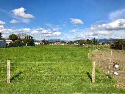 154 Bridge Street, Opotiki and Surrounds