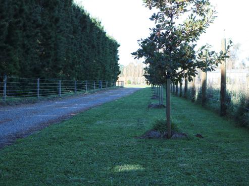428 Mount Brown Road, Amberley