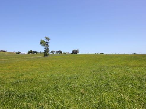 30A State Highway 3, Westmere
