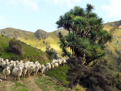 1540 Danseys Pass Road, North Otago Surrounds