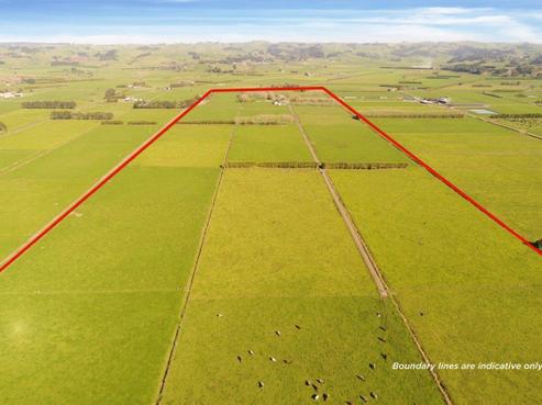 591 Waiuku-otaua Road, Otaua