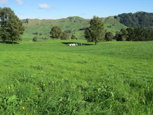 293 State Highway 30, Te Kuiti