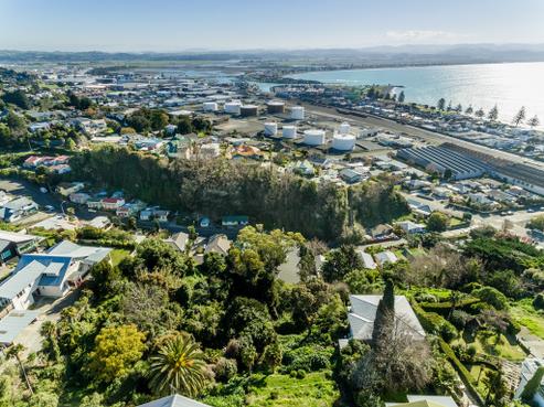 24A Roslyn Road, Napier Hill