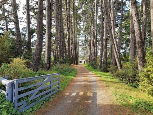 22 Forestry Road, Riverhead