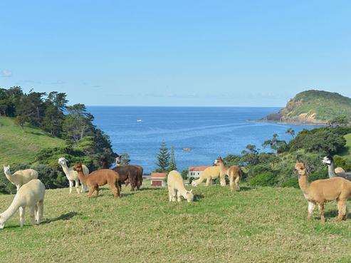 48 Waipouri Lane, Tutukaka