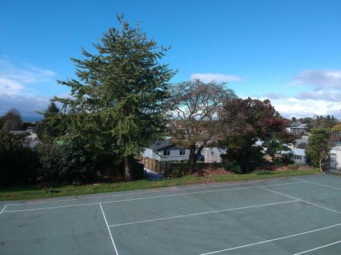 269 Williams Street, Te Awamutu