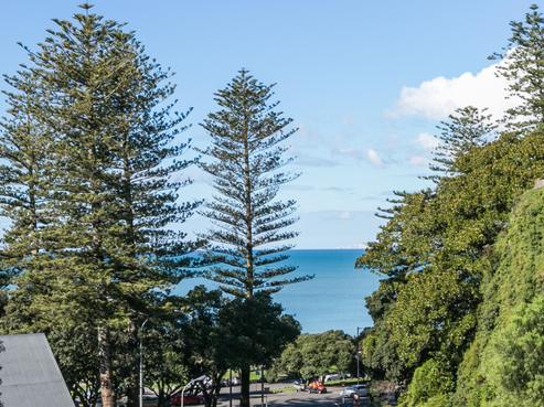 4/48 Coote Road, Napier Hill