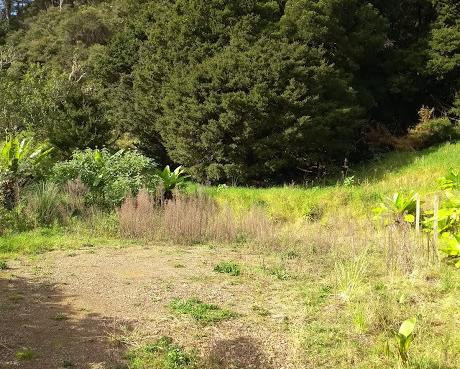1708 Russell Road, Oakura Coast