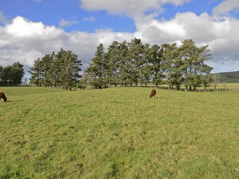 809 Lake Ferry Road, Martinborough