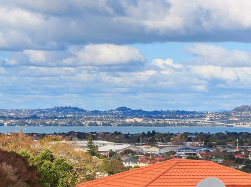 113 Luckens Road, West Harbour