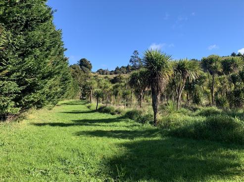 954 Russell Road, Whakapara