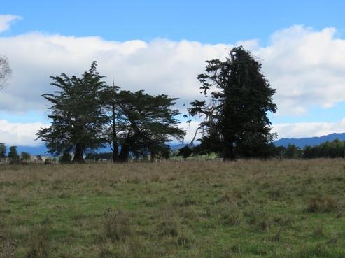 29 Lyall Street, Tikokino