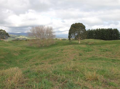 239 Taylors Road, Otaki