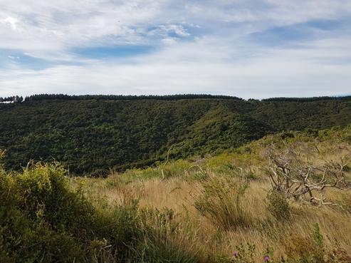 1022 Kaiwhata Road, Te Wharau