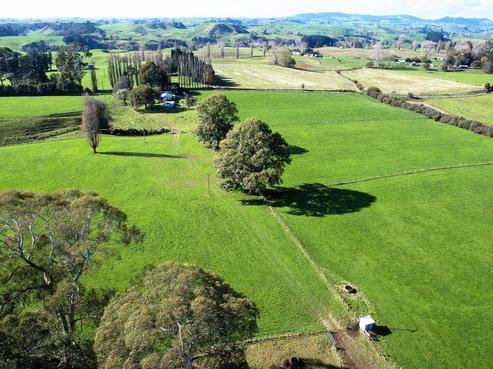 1116 Bayley Road, Wharepapa South