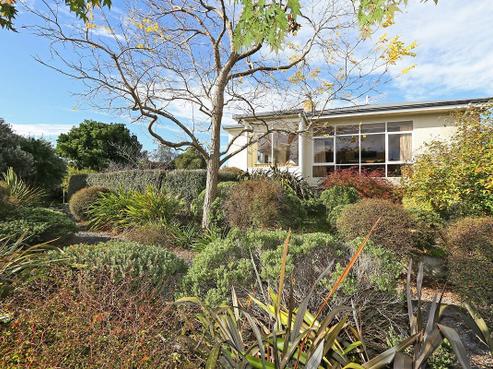 20 Franklin Terrace, Havelock North