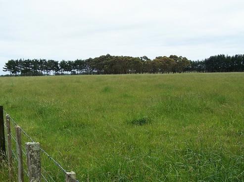 327 Paranui Road, Foxton
