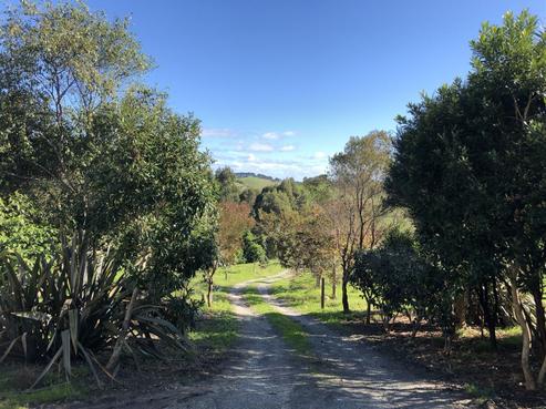 2990 Kaipara Coast Highway, Kaipara Flats