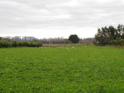 26 Pourerere Road, Waipawa