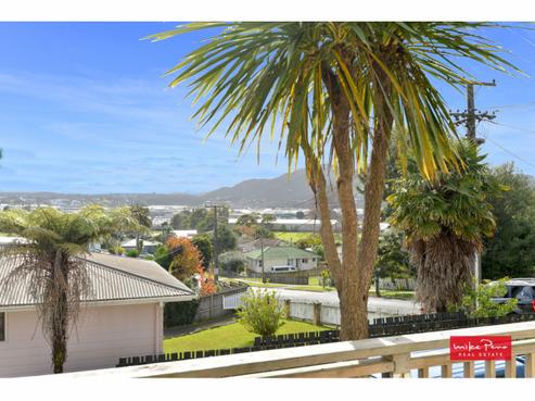 18 Raewyn Street, Morningside