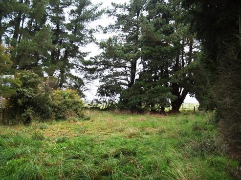78 Baker Road, Rakaia