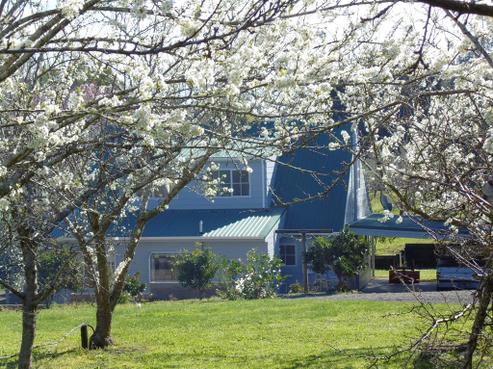 478 Kerikeri Road, Kerikeri