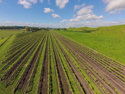 166 Moteo Pa Road, Puketapu