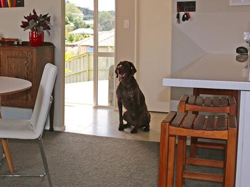 6B Clifton Lane, Snells Beach