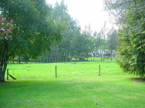 50 Philip Street, Putaruru